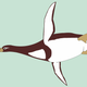 Artistic reconstruction of Kumimanu biceae. (Image: Reconstruction by G. Mayr/Senckenberg Research Institute)